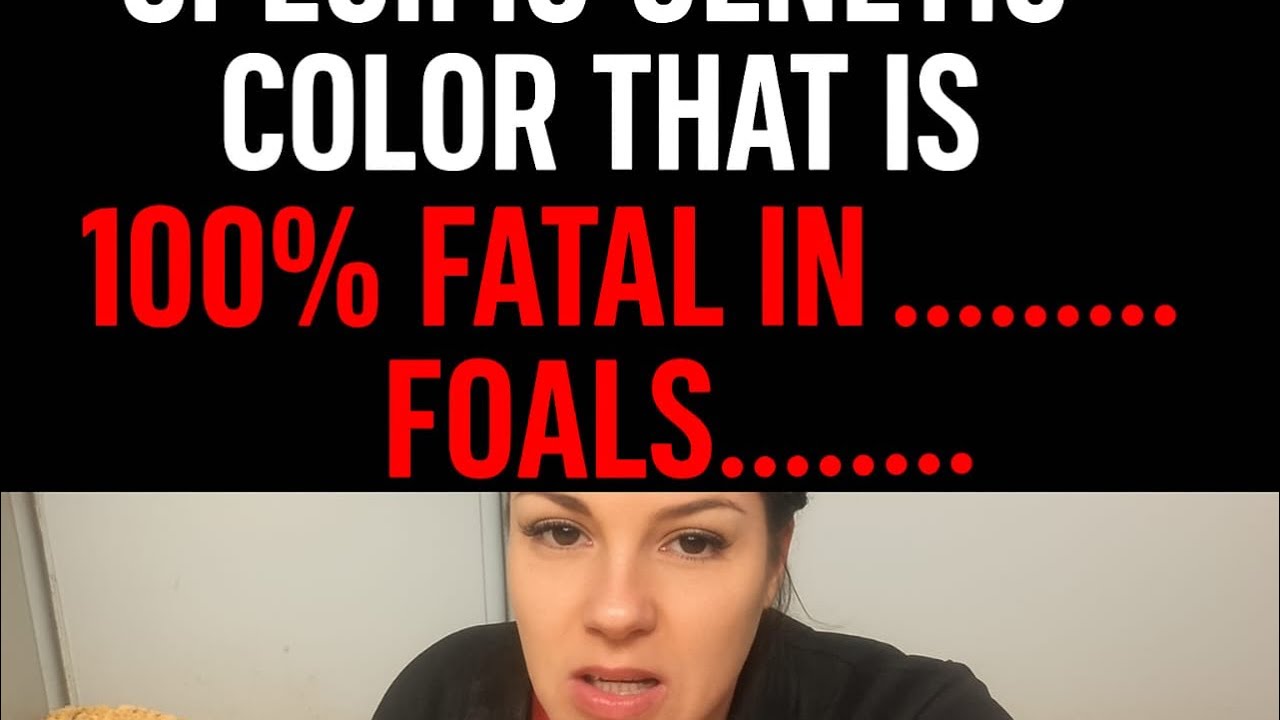 SPECIFIC GENETIC COLOR THAT IS 100% FATAL IN FOALS.This will blow your mind if you have never heard 