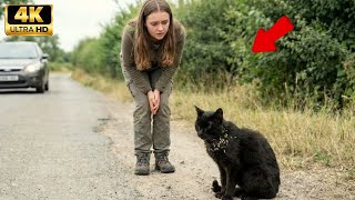 Download Lagu Cat Rescued Just in Time | Emotional Animal Rescue Story MP3