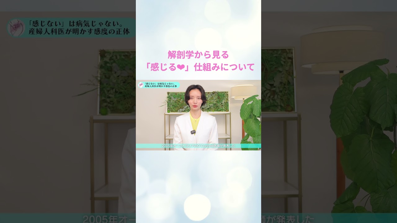 解剖学から見る「感じる💓」仕組みについて👩🏻‍⚕️