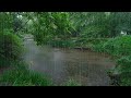 The beautiful little river is raining(351) , sleep, relax, meditate, ASMR, Real Shot