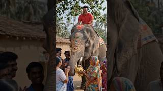 “Desi gaon ki simple aur pyari zindagi ❤️🐘#VillageLife #Haathi #Shorts #DesiVibes”