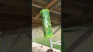 Watch this before wasting your money on wasp trap.