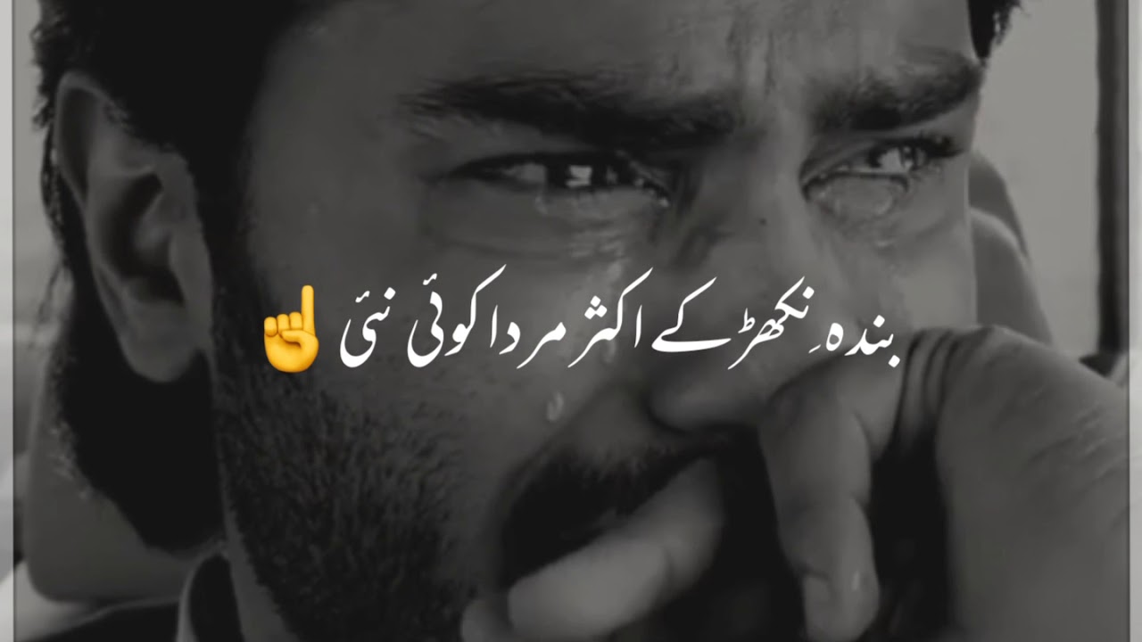 Heart touching lines || saraiki poetry status || ?