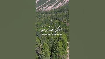 سورة النمل الآية 74 القارئ إسلام صبحي