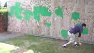 Sam G First ever wallflip