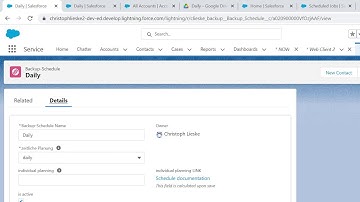 Salesforce Backups(english,en)--Account Type Customer%, daily-- extend Data Export of Salesforce