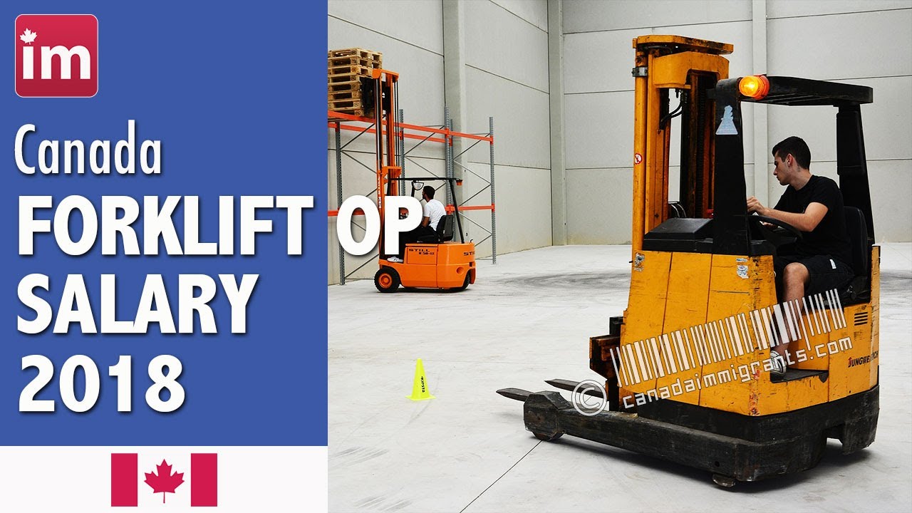 Forklift Operator Salary In Canada Wages