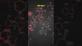 Deep Dive: 5 Mind Blowing Hydrothermal Vent Facts! #fact #science #nature #jungle #viral #viralvideo
