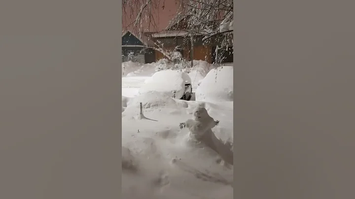 В Краснодаре продолжается снегопад #shorts