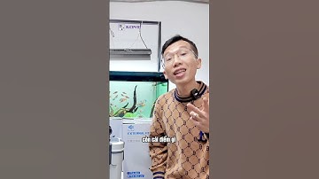 Lọc thùng tối ưu cho bể nhỏ, giá cực kì tốt , êm nhiều tính năng.