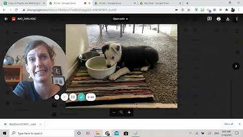 How to insert pictures into Flippity