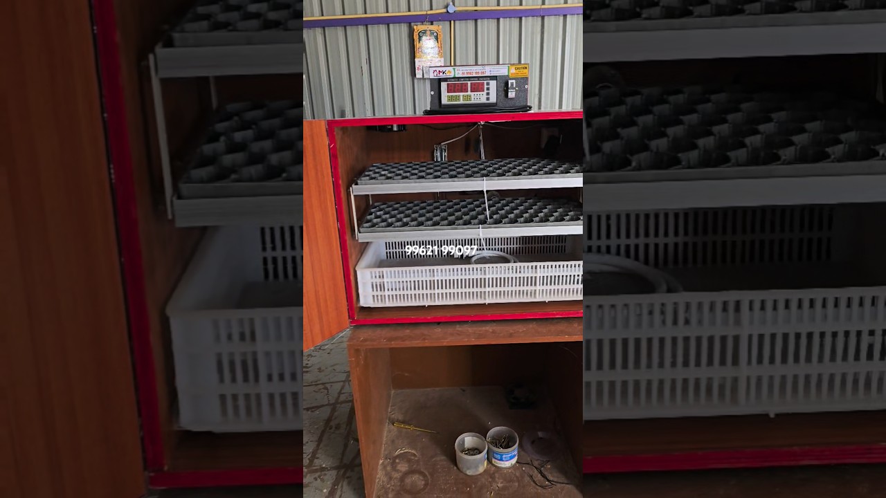 Best quality 200 fully automatic incubator 