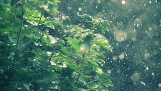 😴  Музыка для Сна Звуки природы Дождь | 10 часов