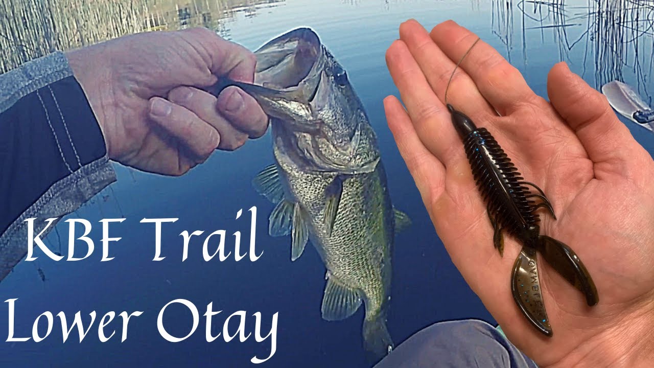 Fishing the KBF Trail Lower Otay 2020