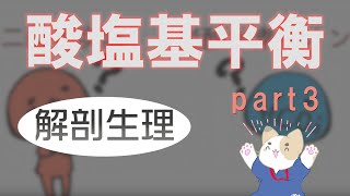 酸塩基平衡パート3【体がpHを調節する仕組み】