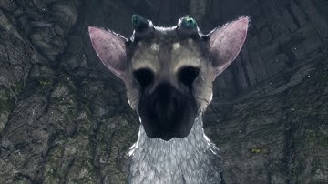 The Last Guardian™ - When you feed Trico
