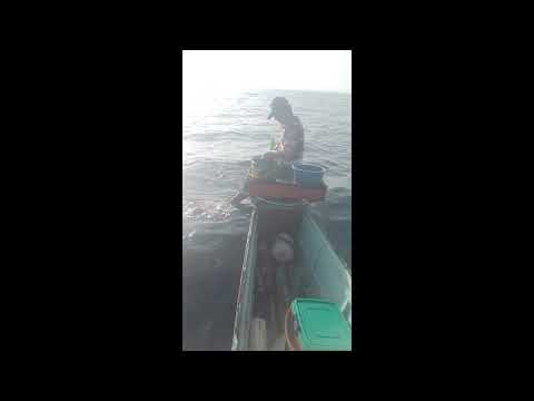 #kitang  #catch  Baga /bokaw  medyo madalang ang huli