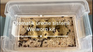 Otomatik Un Kurdu Üreme Sistemi (Welworn Kit)