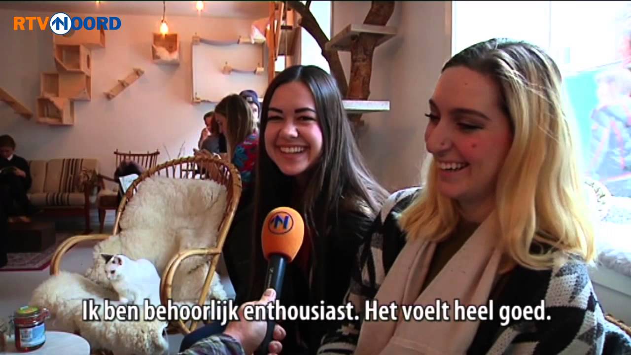 Hoe is dat nou, zon kattencafe? - RTV Noord