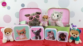 Los peluches MÁS BONITOS DEL MUNDO Adorables Perritos y Gatitos de juguete STUDIO PETS