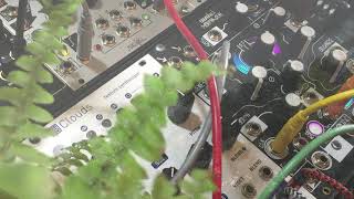 Kuro Kasetto - Voices (Eurorack Ambient - Clouds and Morphagene)