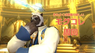 【FF14】モグコレだ！【Vtuber】