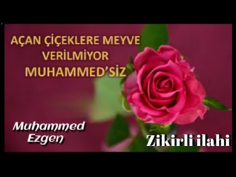 Açan Çiçeklere Meyve Verilmiyor Muhammed'siz(SAV)| Zikirli İlahi- Muhammed Ezgen