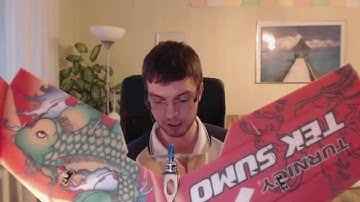 Hobby king Tek Sumo wing review and maiden