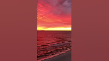 (فاعلم أنه لا إله إلا الله ..) من سورة #محمد 🌀 الشيخ #المعيقلي