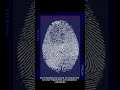 Fintech Solutions: Browser Fingerprint Generators for Financial Privacy