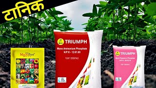 Best NPK Fertilizer For Plant Growth | सबसे बेस्ट टानिक | 19:19:19 & 12:61:00 & 00:52:34