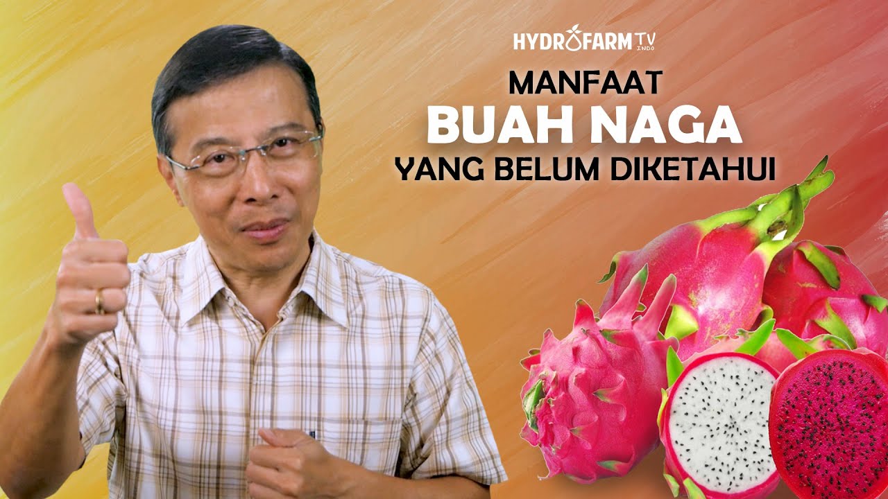 MANFAAT BUAH NAGA YANG MUNGKIN BELUM DIKETAHUI !!