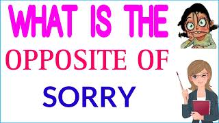 Sorry ka opposite word | Sorry ka opposite | what is the opposite of Sorry in english
