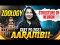 CUET PG Zoology 2027 | CUET PG Zoology Structure of Neuron | CUET PG Zoology Classes