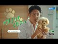 クレデリオ錠 2023 TVCM『考える飼い主篇』15秒バージョン