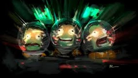 How to use custom KSP flags