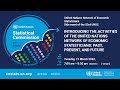 Introducing the Activities of the UN Network of Economic Statisticians Past, Present, and Future