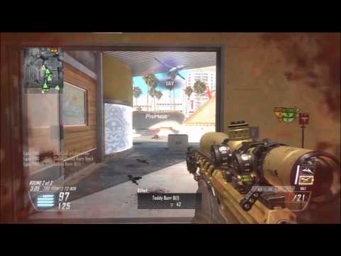 L PMGG: Multi COD Minitage #1