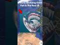 😨🌫️ I Found Terrifying Gaint Fish Is The Real 🥶 on google map 🗺️ #shots #datavictor #map