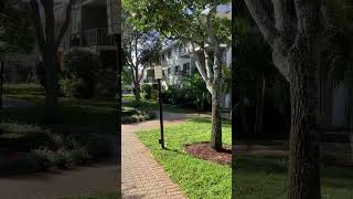 3000 NE 5th Terrace 3000 NE 5th Terrace