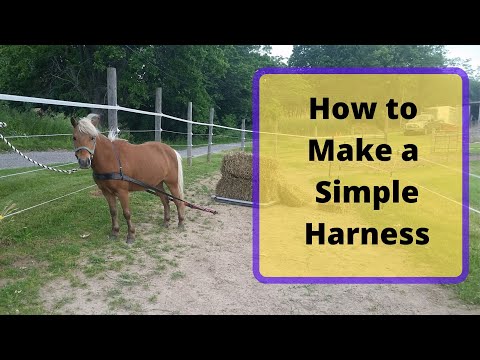 How to make a simple mini horse training harness