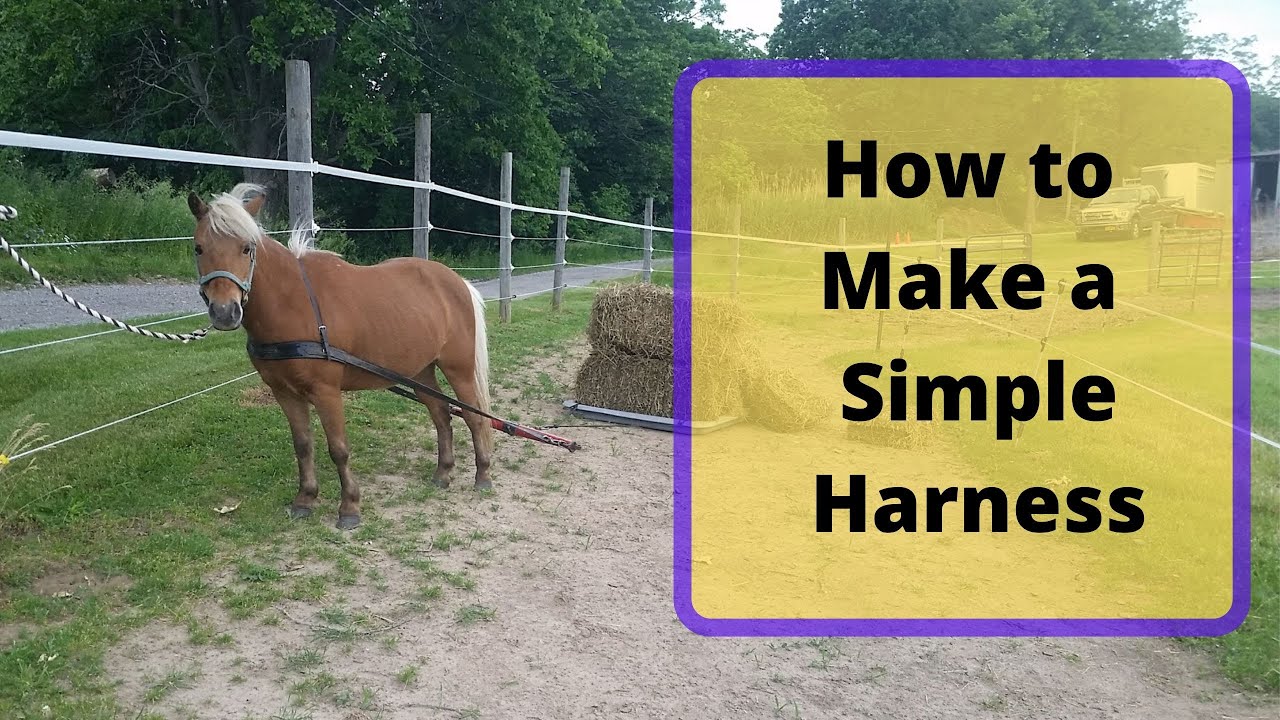 How to make a simple mini horse training harness YouTube