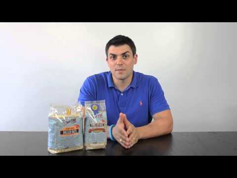 Ask Dr Mike: Steel Cut Vs. Rolled Oats