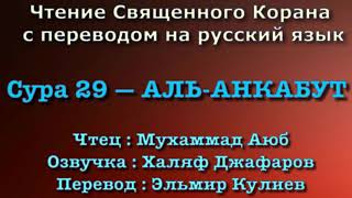 Сура 29 — АЛЬ АНКАБУТ - Мухаммад Аюб ( с переводом)
