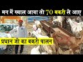 Goat Farming Business🐐प्रधान जी के बकरी फार्म पर 70 बकरियों को देखकर सुधीर सर ने ऐसा क्यों कहा