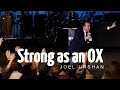 Joel urshan  strong as an ox