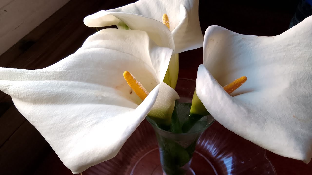 اللهم لك الحمد حتى ترضى ولك الحمد اذا رضيت رمضان كريم 🕋