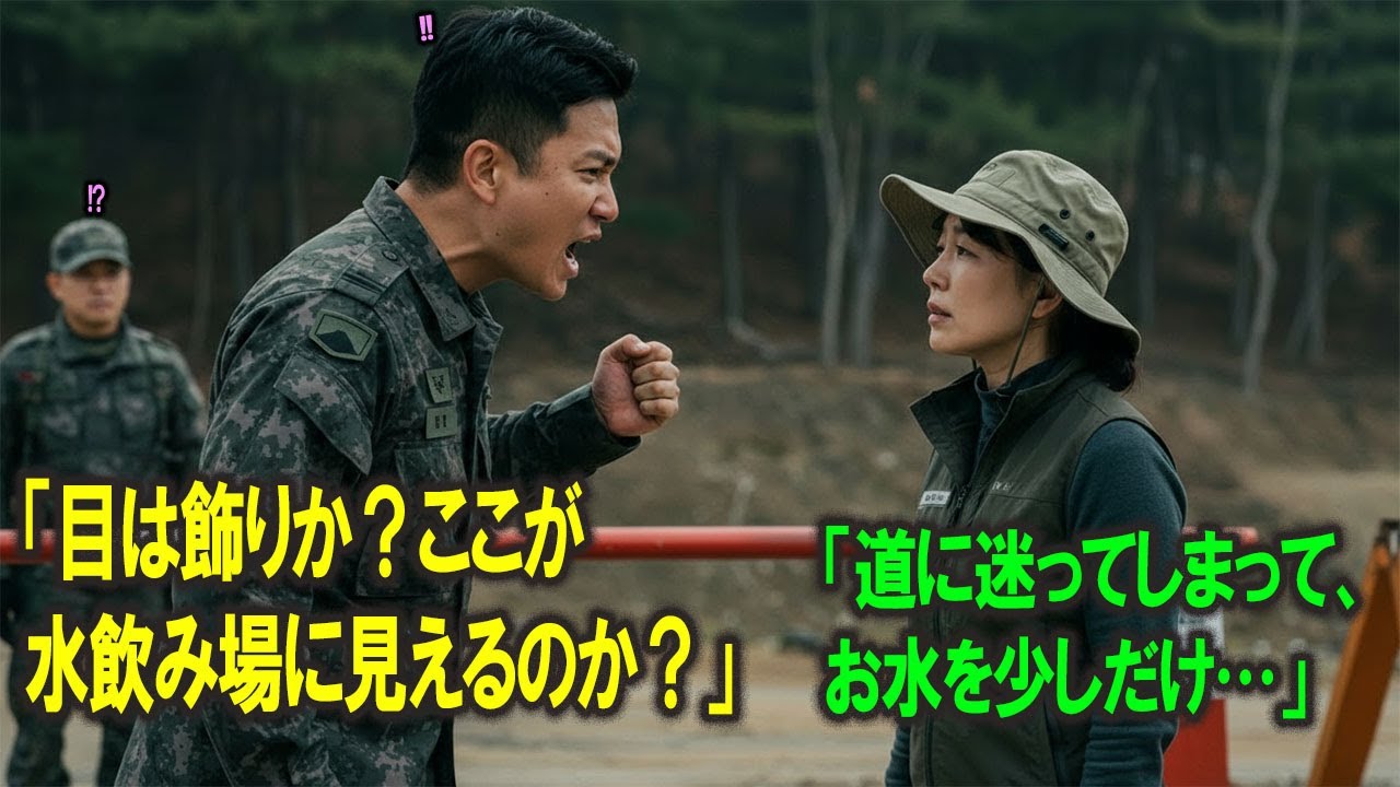 登山客に変装して潜入した女性中将。「おばさん、ここが水飲み場に見えるか？」という侮辱に耐えかね、部隊を徹底的に粉砕する #人生 #感動 #自衛官 #創作ストーリー