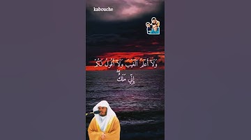 الآية(50)من سورة الأنعام، بصوت القارئ الشيخ ياسر الدوسري.