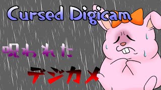 2年半ぶりのホラーゲームです。【Cursed Digicam | 呪われたデジカメ】